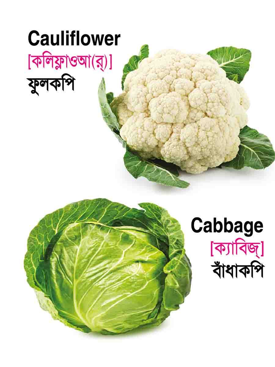২২টি বইয়ের জ্ঞানবাক্স
