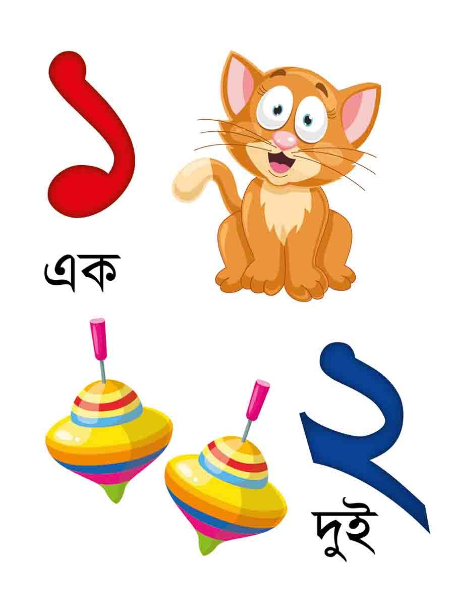 ৬টি বইয়ের জ্ঞানবাক্স