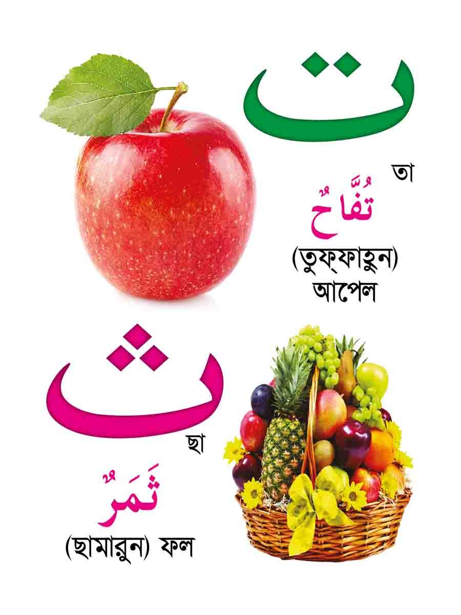 ৬টি বইয়ের জ্ঞানবাক্স