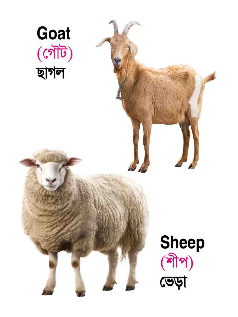 ১২টি বইয়ের জ্ঞানবাক্স