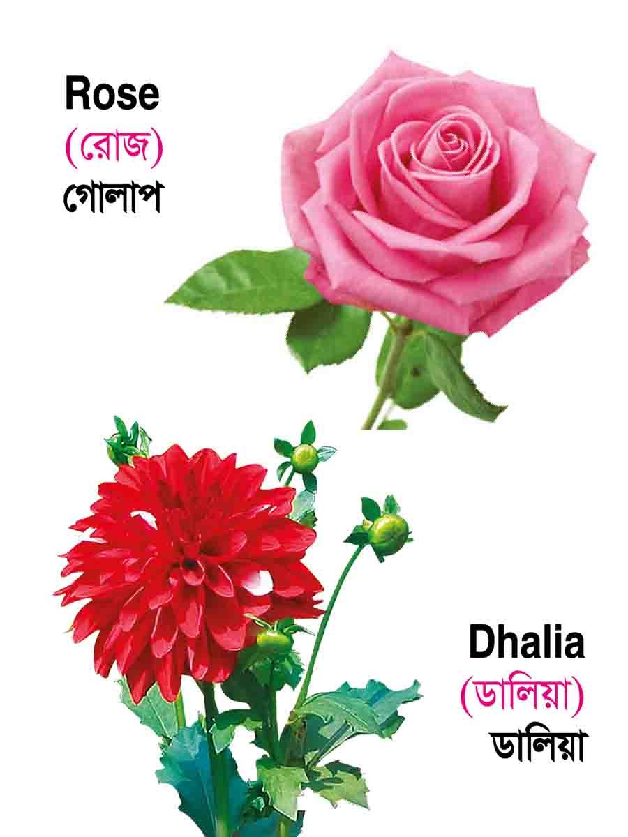 ১২টি বইয়ের জ্ঞানবাক্স