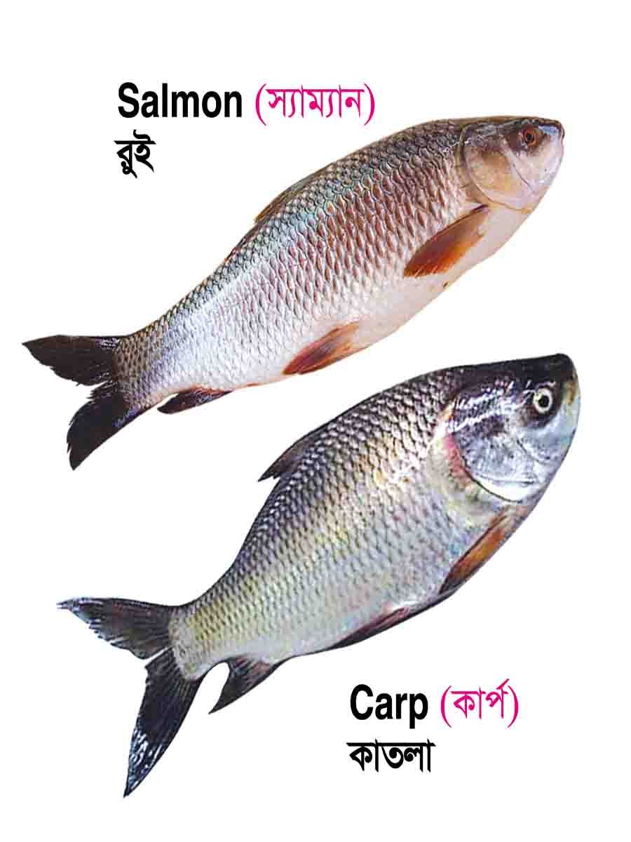 ১২টি বইয়ের জ্ঞানবাক্স