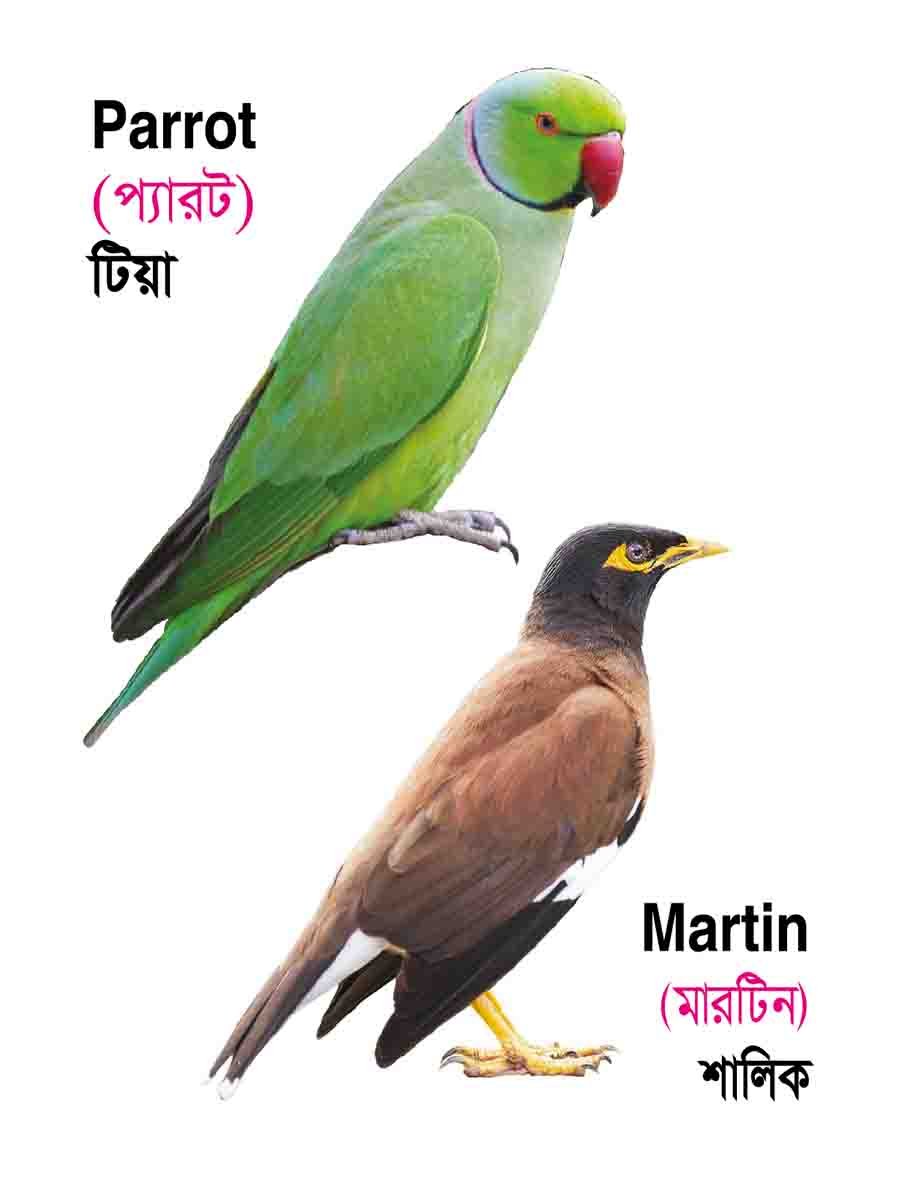 ১২টি বইয়ের জ্ঞানবাক্স