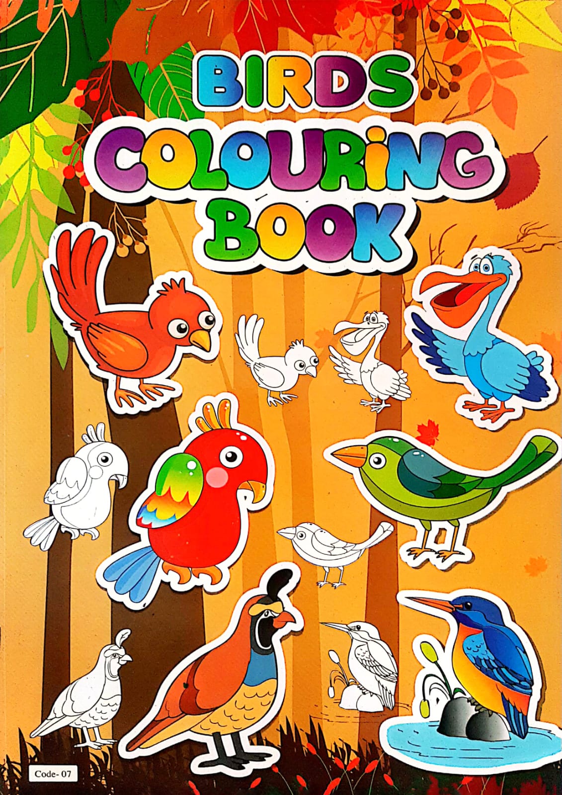 Birds Coloring Book